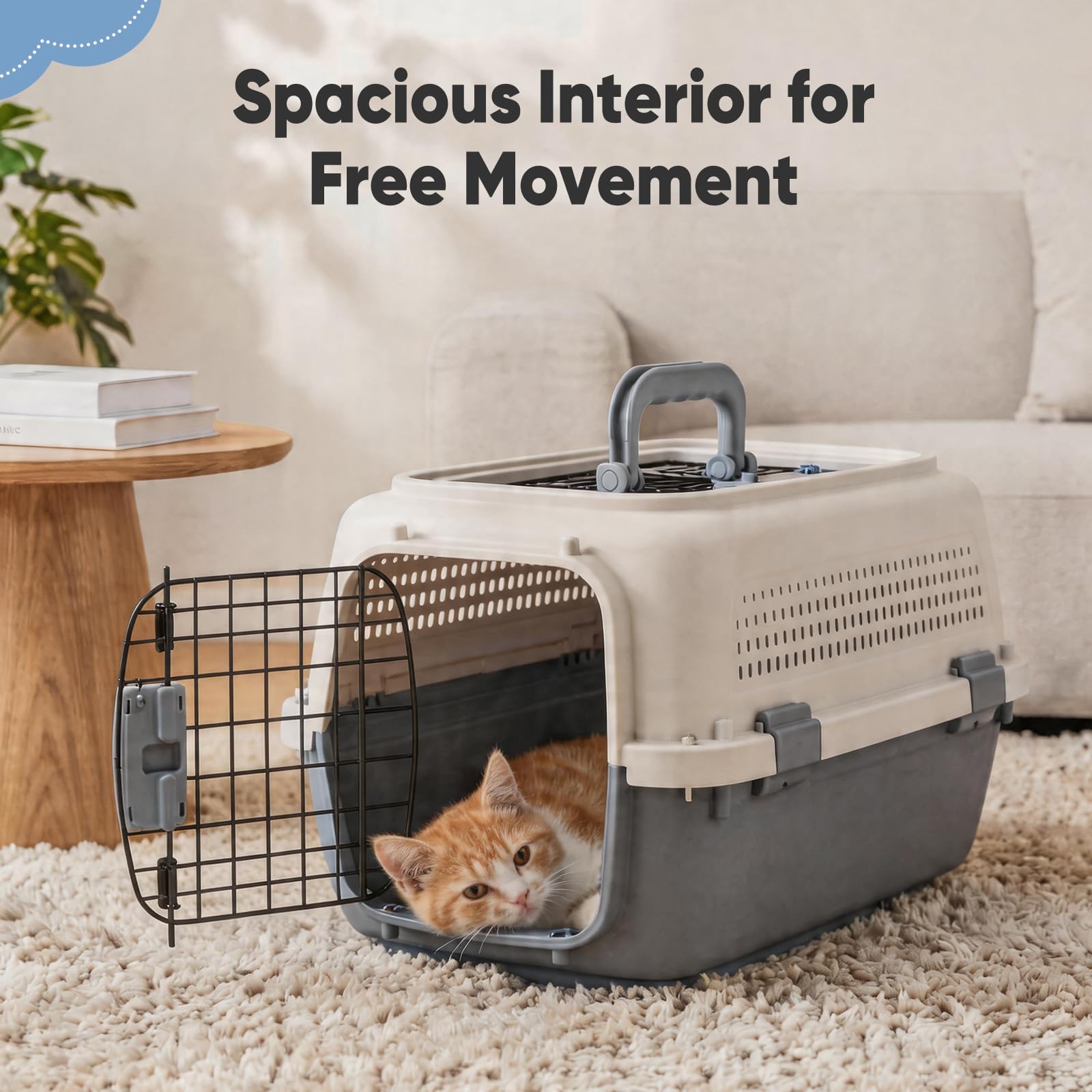 Airline-Approved Pet Carrier for Small Dogs & Cats