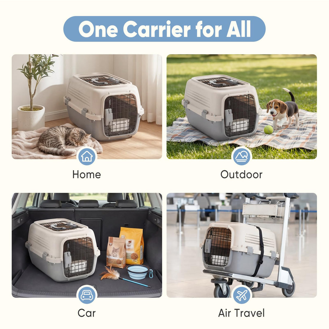 Airline-Approved Pet Carrier for Small Dogs & Cats