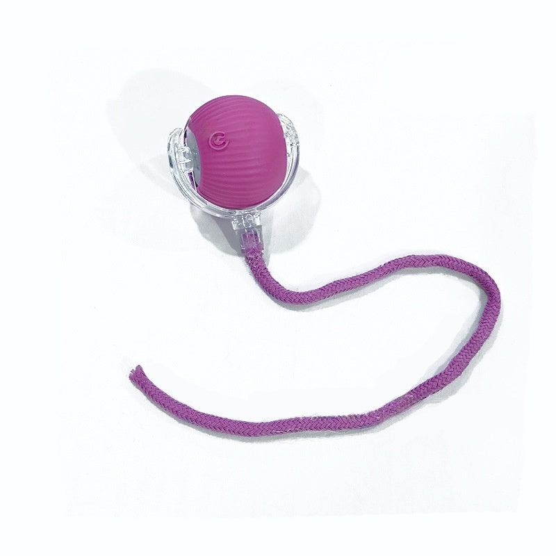 Rechargeable Automatic Rolling Cat Ball Toy