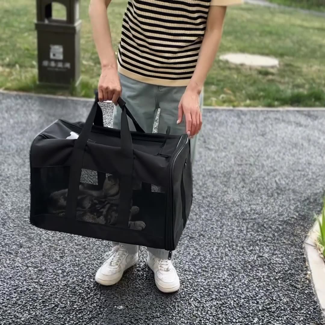 Foldable Breathable Pet Travel Carrier Bag