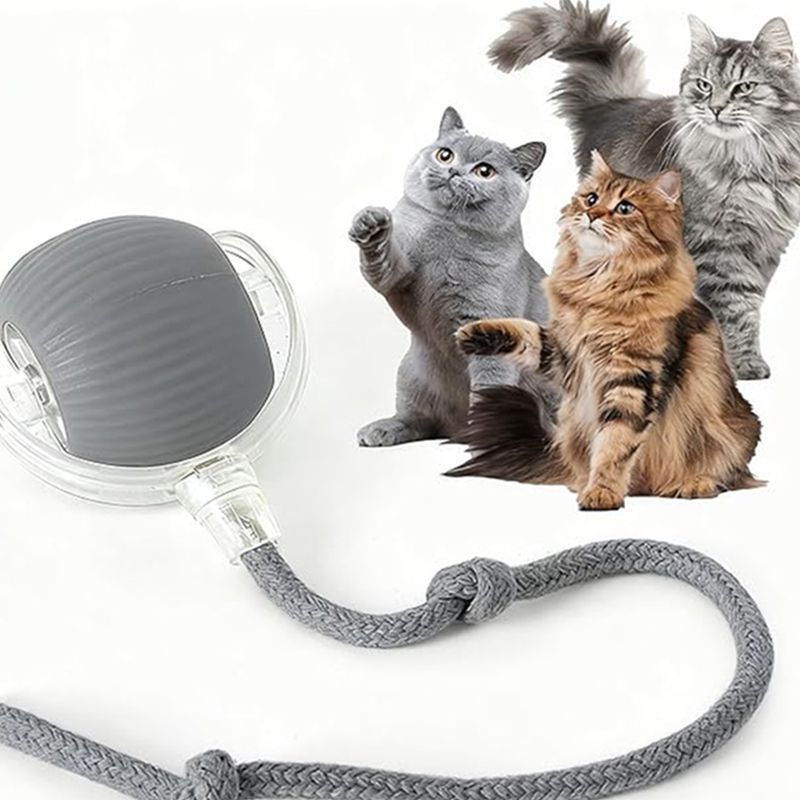 Rechargeable Automatic Rolling Cat Ball Toy