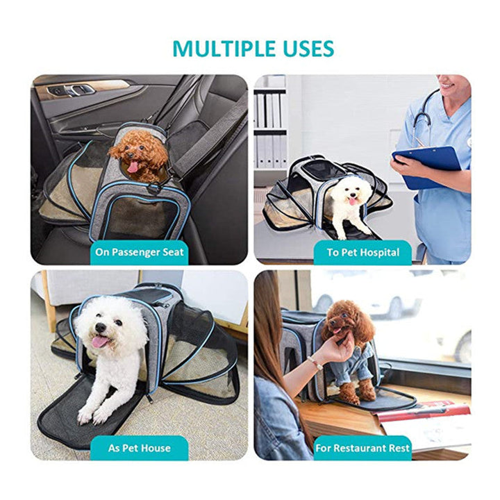 Expandable Airline-Approved Soft Pet Carrier