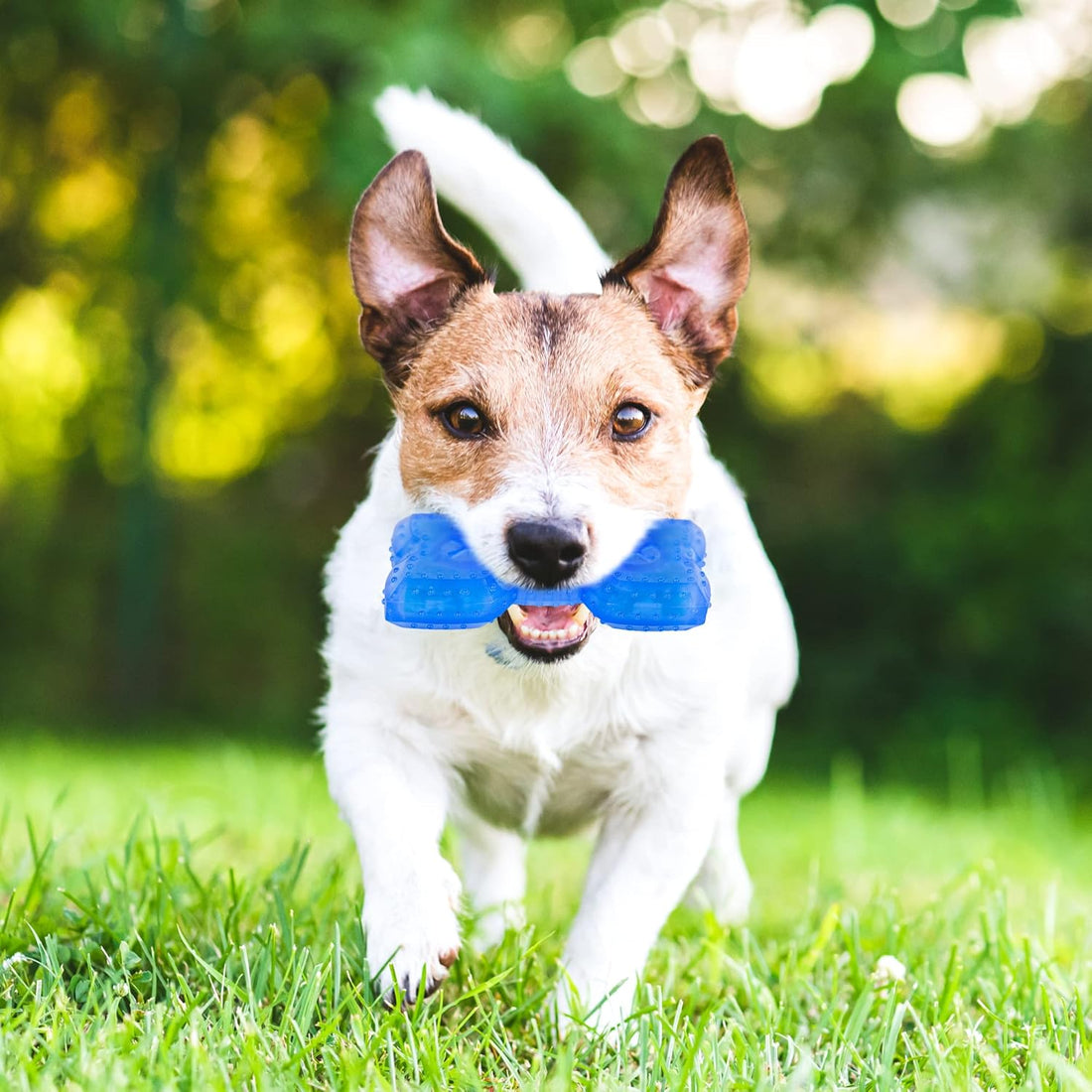 Cooling Teething Chew Toy for Dogs & Puppies