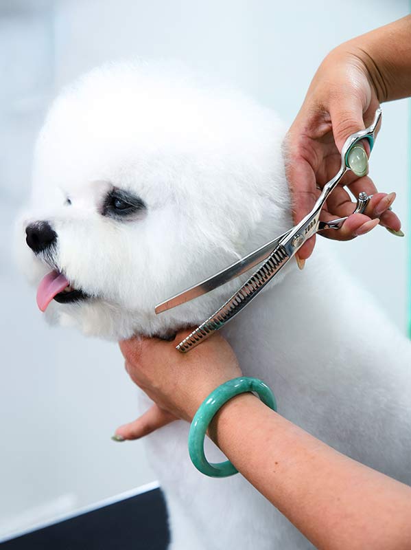 Zora Pet Grooming Curved Blender Shear - Model A-7533C