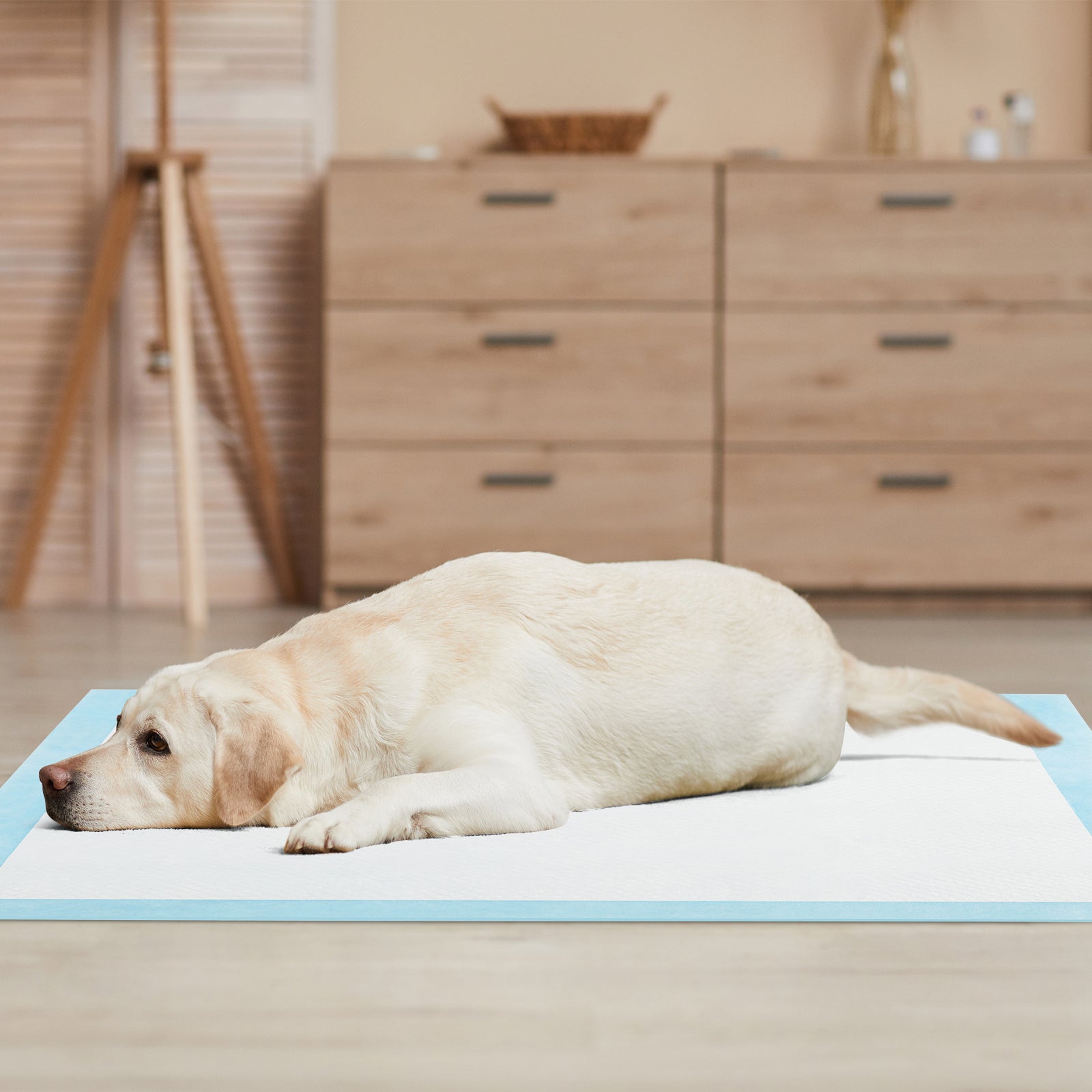 Dog and Puppy Pee Pads 36" x 36" (100 Counts) for Potty Training-Blue