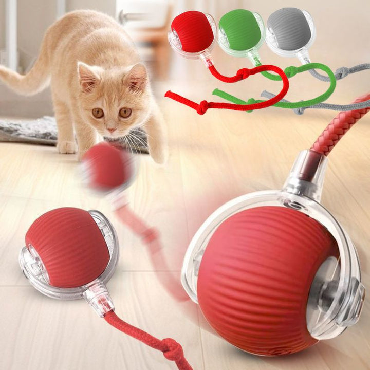 Rechargeable Automatic Rolling Cat Ball Toy