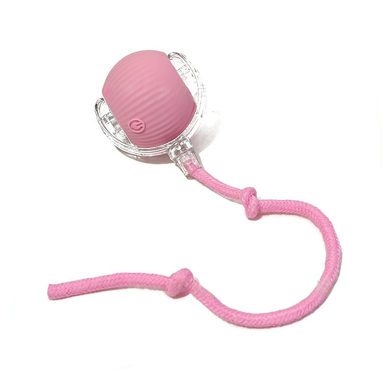 Rechargeable Automatic Rolling Cat Ball Toy