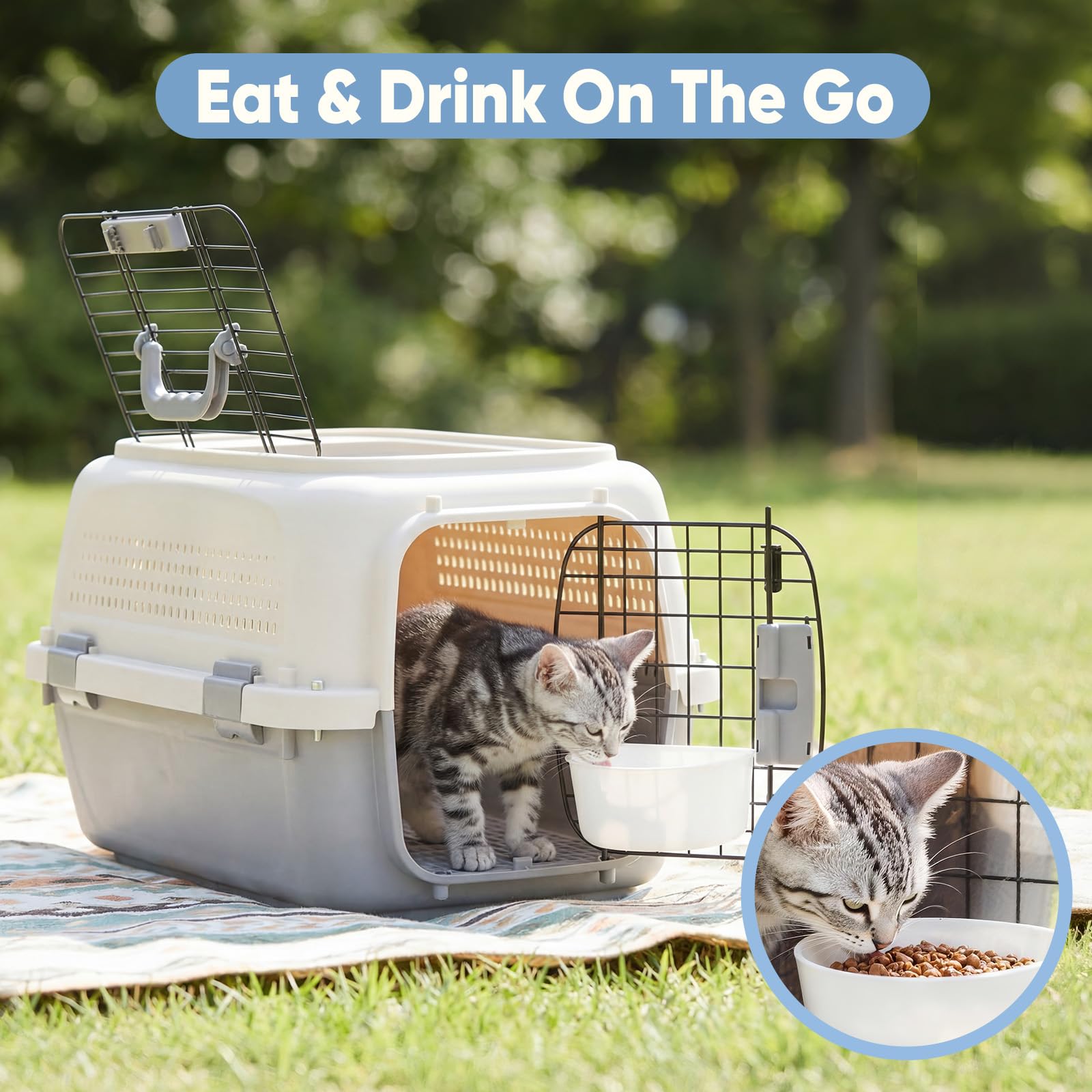 Airline-Approved Pet Carrier for Small Dogs & Cats