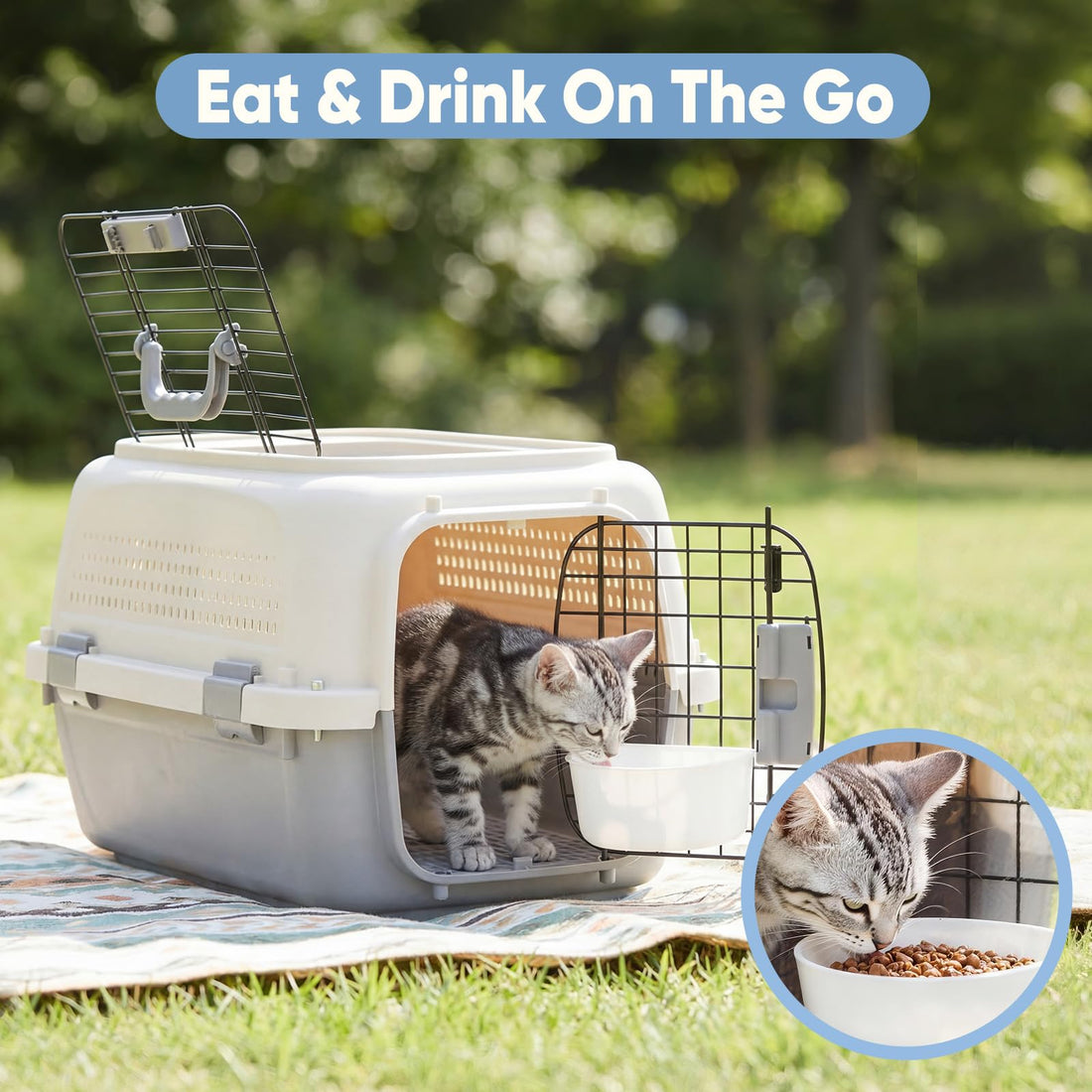 Airline-Approved Pet Carrier for Small Dogs & Cats