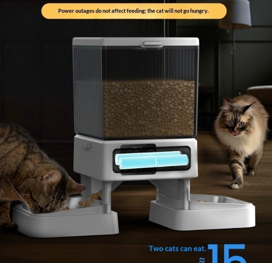 Automatic Cat Feeder With Dual Bowls Visual Timer-Controlled Portion-Adjustable Smart Pet Feeder For Cat Food