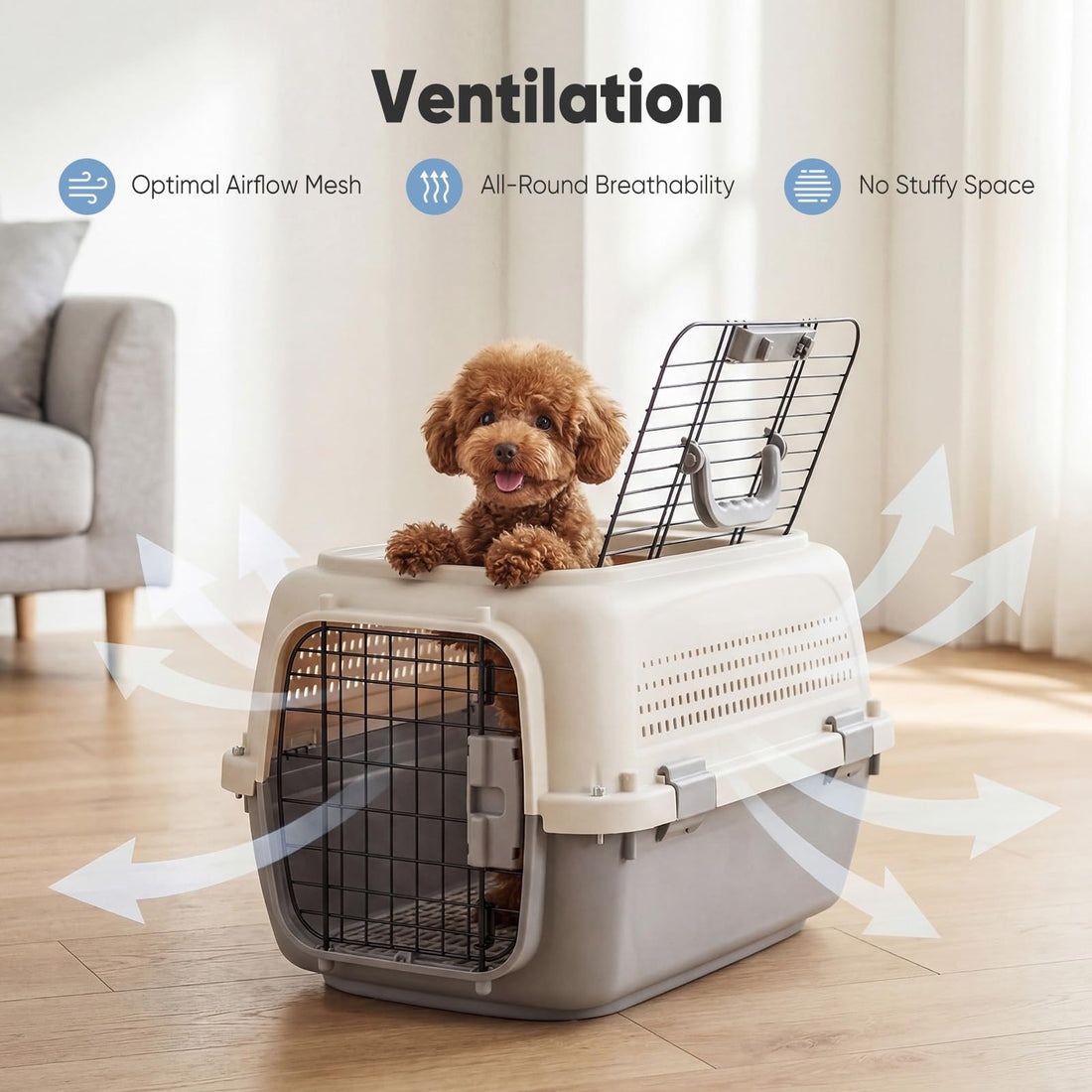Airline-Approved Pet Carrier for Small Dogs & Cats