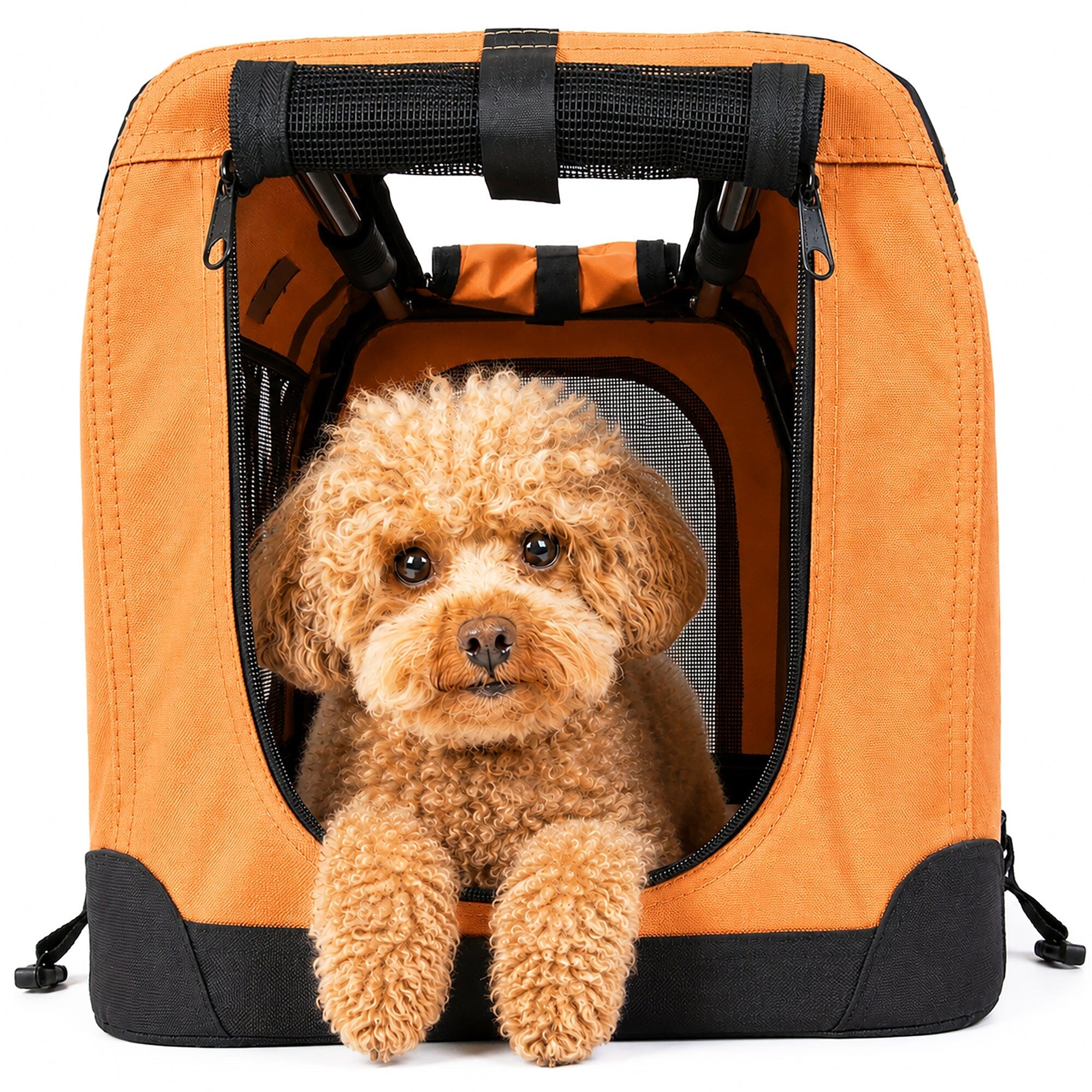 Pet Life 360° Vista View Folding Pet Dog Crate Carrier